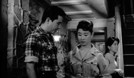 下女电影在线观看,揭开神秘面纱的宫廷秘闻